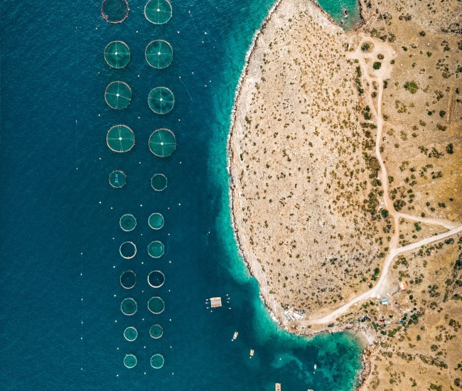 Alex antoniadis ez8td7e Yw ZY unsplash Alex antoniadis ez8td7e Yw ZY unsplash