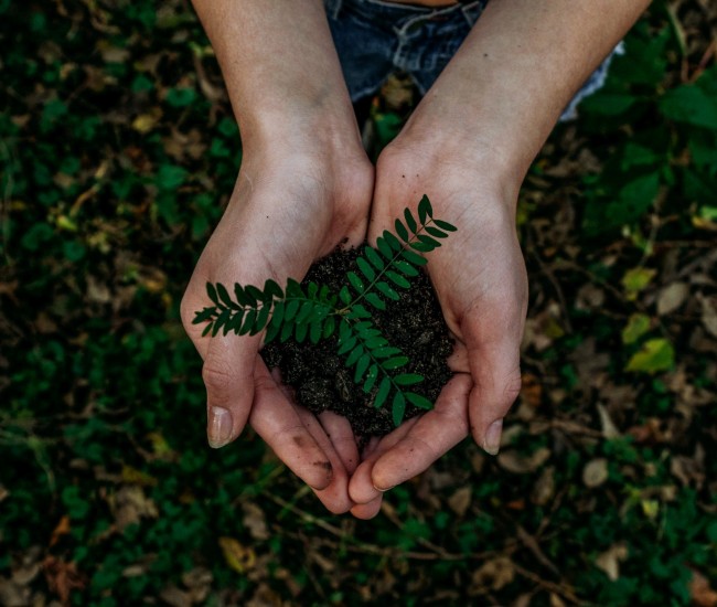 Noah buscher x8 Z Stuk S2 PM unsplash Noah buscher x8 Z Stuk S2 PM unsplash